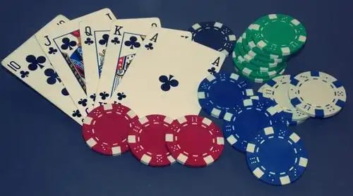 Người chơi Việt Nam tham gia phòng Bingo tại suncity88 trên điện thoại với giao diện đơn giản